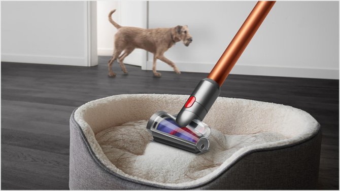 Cleaning and maintenance of a premium Dyson vacuum from the official distribution